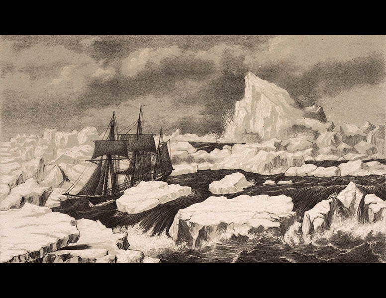 Scientist of the Day - Johan Carl Christian Petersen, Danish