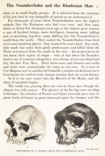 The Neanderthal and Rhodesian man. Image source: Wells, Herbert George. A Short History of the World. New York: Macmillan, 1922, p. 51.