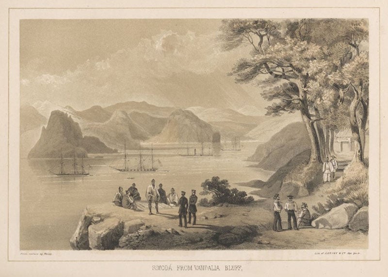 Naval officers on Vandalia Bluff, overlooking the U.S. fleet in Simoda Bay, Japan, chromolithograph, from Francis L, Hawks, <i>Narrative of the Expedition of an American Squadron to the China Seas and Japan</i>, vol. 1, 1856 (Linda Hall Library)