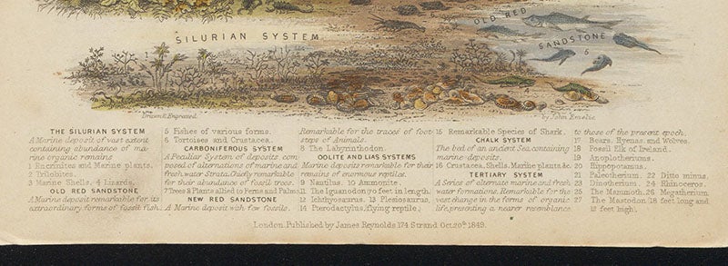 “Drawn and engraved by John Emslie,” signature at bottom of third image, James Reynolds, Diagrams Illustrating the Sciences of Astronomy and Geography, 1844-50 (Linda Hall Library) 
 