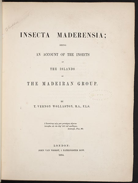 Titlepage, T. Vernon Wollaston, Insecta Maderensia, 1854 (Linda Hall Library)