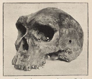 Rhodesian Man Found In 49. Rhodesian Man, 1921 - Linda Hall Library