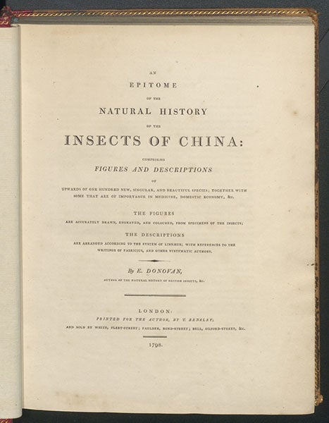 Title page of An Epitome of the Natural History of the Insects of China, by Edward Donovan, 1798 (Linda Hall Library)