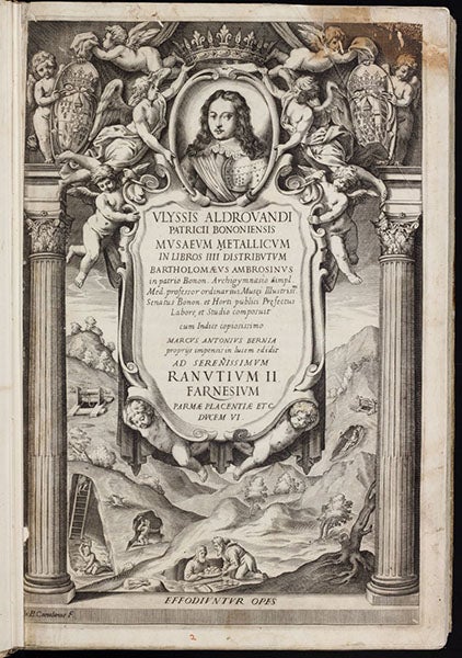 Engraved title page, Musaeum metallicum, by Ulisse Aldrovandi, 1648 (Linda Hall Library)