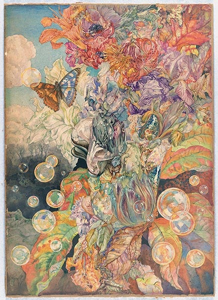 Iridescence, graphite, pen and ink, and watercolor on paper, by Andrey Avinoff, 1925-47, Carnegie Museum of Art, Pittsburgh (collection.carnegieart.org)