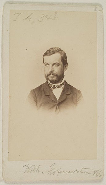Portrait of Wilhelm Hofmeister, carte de visite, undated (Wikimedia commons)
