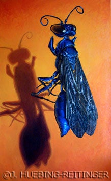 Chalybion californicum, a waisted wasp. Oil on canvas, 2’ x 4,’ 2004. Image source: Collected and donated by an 11 year old boy in Omaha, Nebraska.