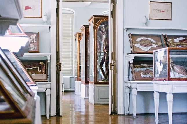 A view of several rooms in the Josephinum with Susini wax anatomical models, all ca 1780-86 (Josephinum, Medical University of Vienna)