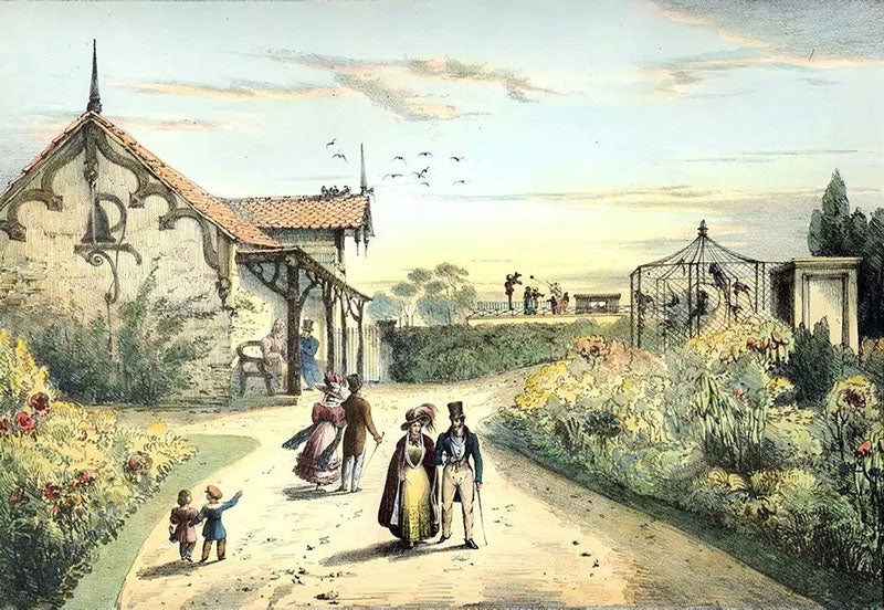 London Zoological Gardens, designed by Decimus Burton, lithograph, 1830s (londonzoo.org)