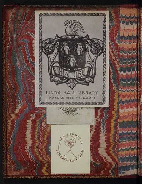 Bookplates of Linda Hall Library and Herbert McLean Evans, with a third bookplate beneath, inside front cover of our copy of Isaac Newton, Opticks, 1704 (Linda Hall Library)