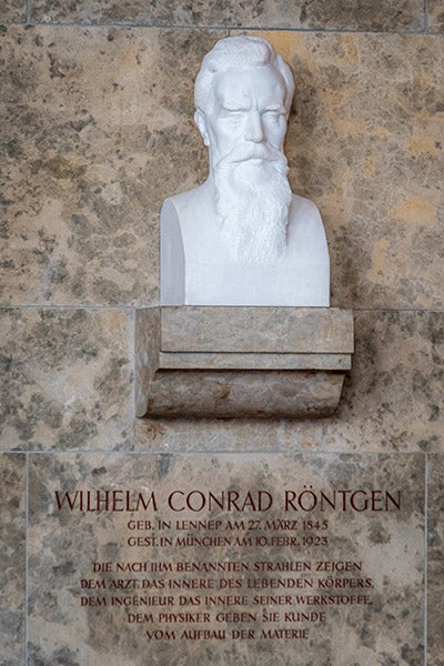 Marble bust of Wilhelm Röntgen, Deutsches Museum, Munich (Wikimedia commons)
