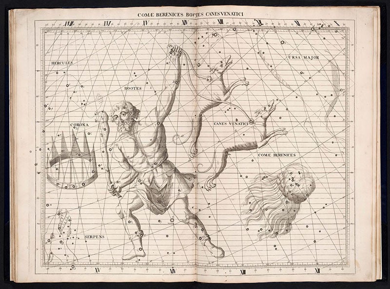 Bootes, Canes venatici, and Coma berenices, constellations figured by James Thornhill, with star positions determined by John Flamsteed, in Atlas coelestis, plate [19], 1729 (Linda Hall Library)