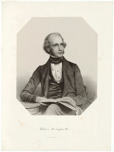 Portrait of William Benjamin Carpenter, lithograph by Thomas Maguire, 1850, National Portrait Gallery, London (npg.org.uk)