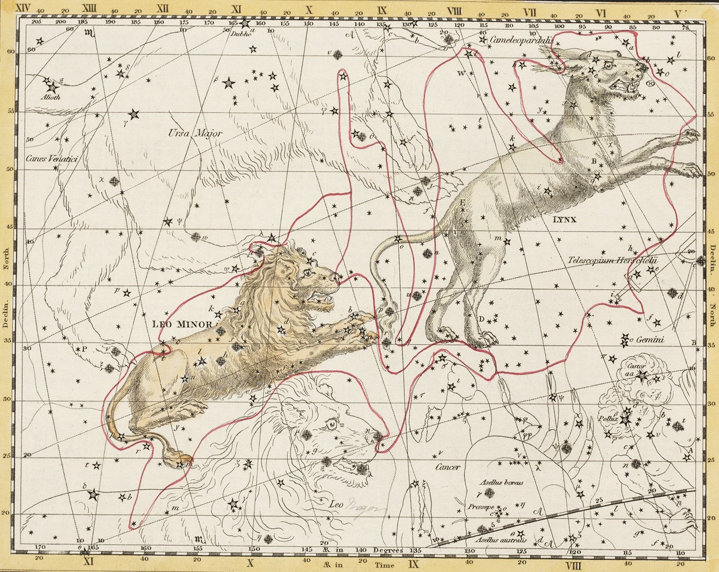 Leo Minor and Lynx. Image source: Detail of the tail of Hydra, showing the Noctua. Image source: Jamieson, Alexander. A Celestial Atlas: Comprising a Systematic Display of the Heavens in a Series of Thirty Maps. London: G. & W.B. Whittaker..., 1822, pl. 5.