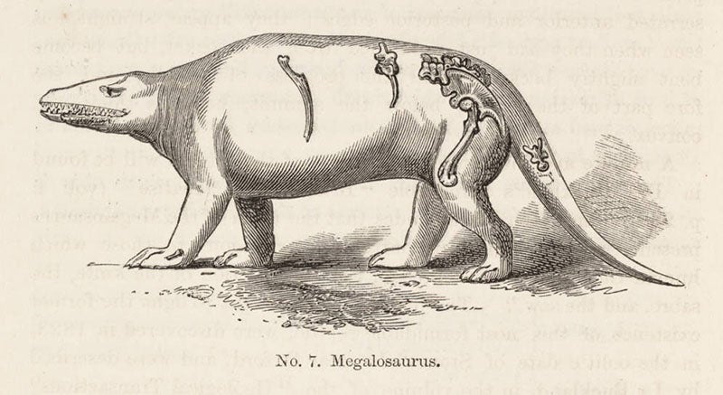 Richard Owen’s paper reconstruction of Megalosaurus, 1854 (Linda Hall Library)