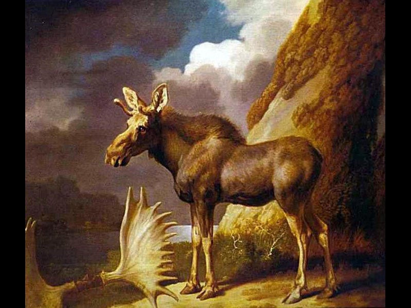 George Stubbs Linda Hall Library