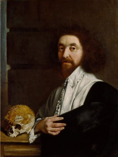 Portrait of John Tradescant the Younger, oil on canvas, 1652, attributed to Thomas De Critz, National Portrait Gallery, London, on display in The Garden Museum, Lambeth (npg.org.uk)