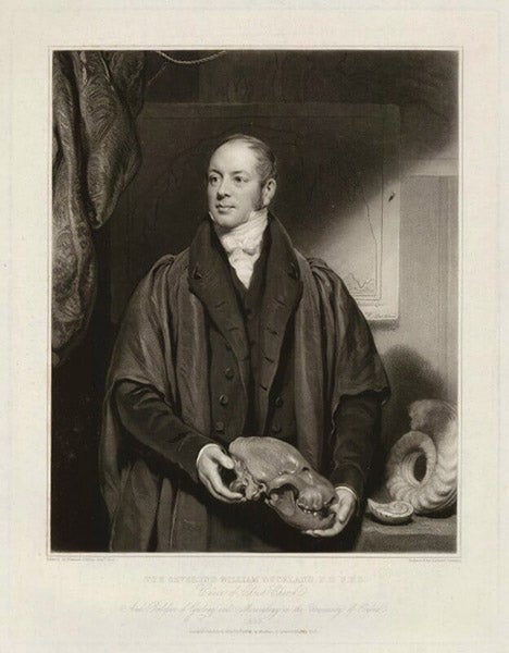 Portrait of William Buckland, mezzotint by Samuel Cousins, after Thomas Phillips, 1833, National Portrait Gallery, London (npg.org.uk)