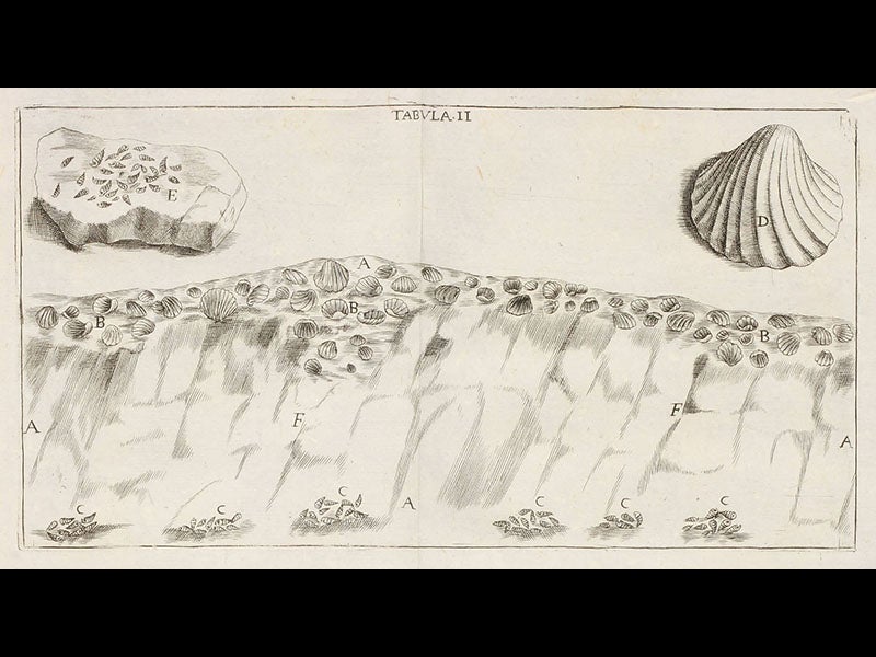 Antonio Vallisneri Linda Hall Library