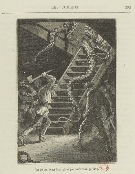 Squid tentacles invading the Nautilus, wood engraving after drawing by Alphonse de Neuville, in Vingt mille lieues sous le mers, by Jules Verne, 1871, copy in Bibliothèque nationale de France (gallica.bnf.fr)
