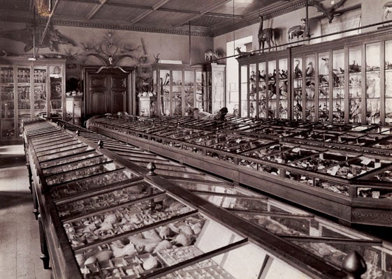 Thompson’s original natural history museum, contemporary photograph (St Andrews Library)