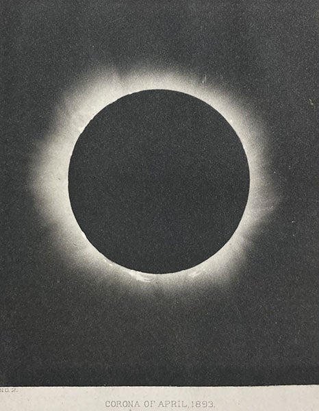 The solar corona, Apr. 16, 1893, photograph by J. M. Schaeberle, in his “Report on the total eclipse of the Sun, observed at Mina Bronces, Chile, on April 16, 1893,” Contributions from the Lick Observatory, no. 4, pl. 6, 1895 (Linda Hall Library)