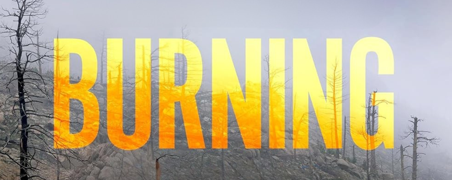 Global Burning: Rising Antidemocracy and the Climate Crisis 