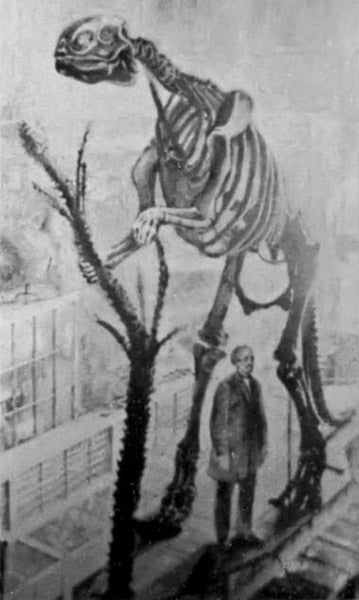 Mounted Hadrosaurus skeleton, by Benjamin Waterhouse Hawkins, displayed in the Academy of Natural Sciences, Philadelphia, photograph (Wikimedia commons)