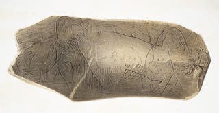 VII. More Fossil Remains: Java Man and Friends - Linda Hall Library