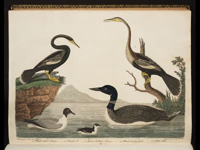 George Ord Scientist of the Day - George Ord, American Naturalist - The Linda Hall