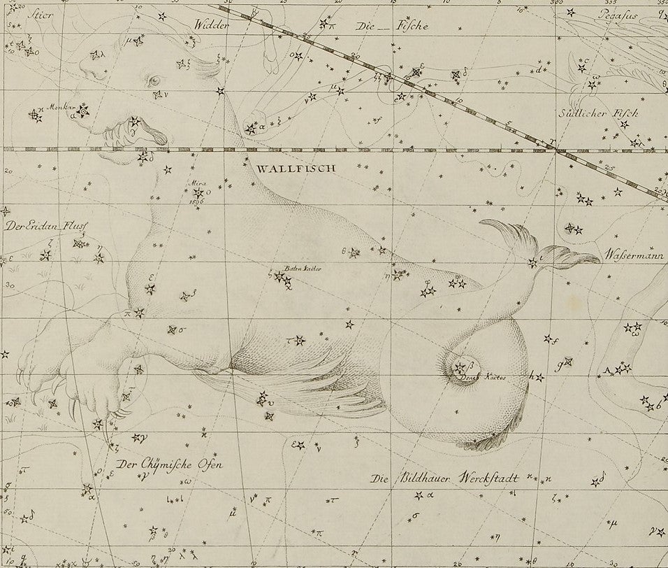 Cetus. Image source: Bode, Johann Elert. Vorstellung der Gestirne auf XXXIV Kupfertafeln nach der Pariser Ausgabe des Flamsteadschen Himmelsatlas. Berlin, Stralsand: Gottlieb August Lange, 1782, pl. 23.