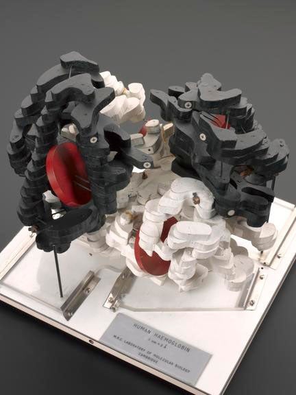 Low-resolution hemoglobin model of 1967, built by Max Perutz, Science Museum, London (sciencemuseumgroup.org.uk)