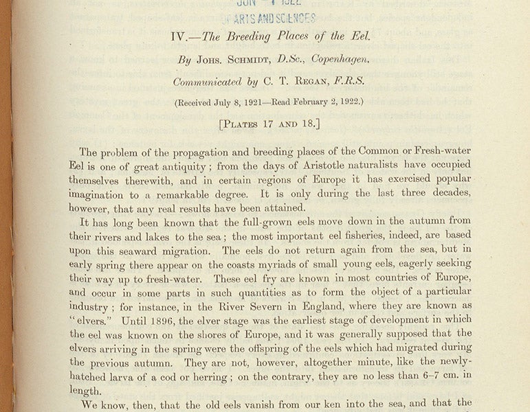 First paragraph, “The breeding places of the eel,” by Johannes Schmidt, Philosophical Transactions of the Royal Society of London, ser. B, vol. 211, 1922 (Linda Hall Library)