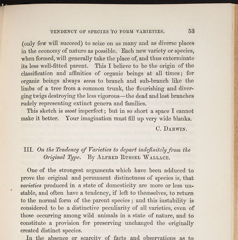 The end of Charles Darwin’s paper on varieties and species, and the beginning of the paper by Alfred Russel Wallace, Journal of the Proceedings of the Linnean Society, Zoology, vol 3, 1859 (Linda Hall Library)