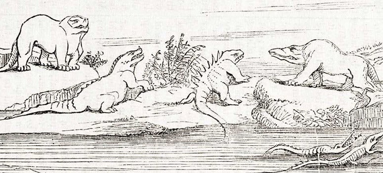 Megalosaurus on display at Crystal Palace, Sydenham Park, far right in drawing by Benjamin Waterhouse Hawkins in his article, "On visual education as applied to geology," Journal of the Society of Arts, vol. 2, p. 446, 1854 (Linda Hall Library)