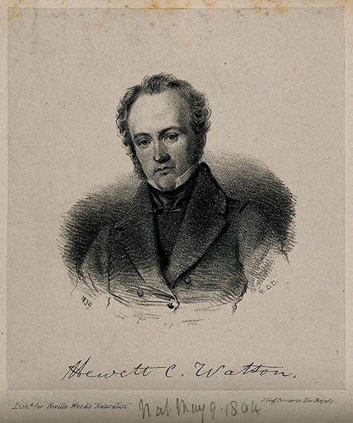 Portrait of Hewett Cottrell Watson. Lithograph by R.D.D., 1939, Wellcome Collection, London (wellcomecollection.org)