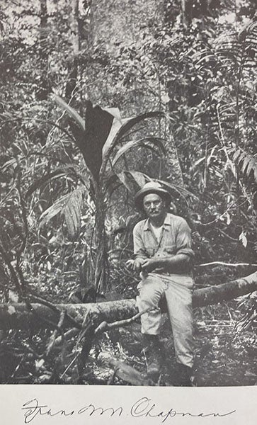 Frank M. Chapman at Barro Colorado, Lake Gatun, Panama, photograph, frontispiece to Autobiography of a Bird-Lover, by Frank M. Chapman, 1933 (Linda Hall Library)