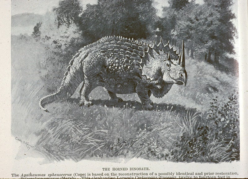 Agathaumas (Triceratops), photo-reproduction of a watercolor by Charles R. Knight, Century Magazine, p. 18, Nov. 1897 (Linda Hall Library)