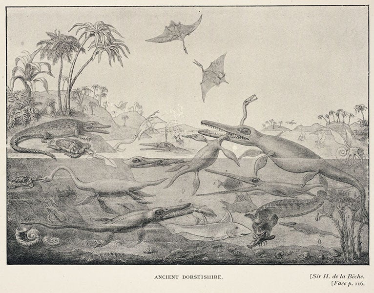 “Ancient Dorsetshire,” half-tone copy of “Duria antiquior,” by Henry De la Beche, in The Life and Correspondence of William Buckland, by Elizabeth Gordon, 1894 (Linda Hall Library)