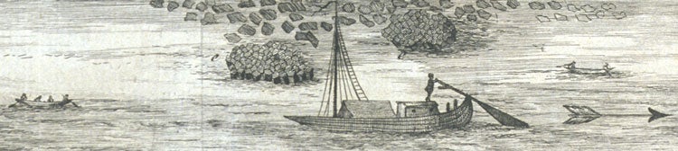 Basalt columns in the Rhine River. Image source: Collini, Cosimo. Journal d’un voyage qui contient differentes observatons mineralogiques; particulierement sur les agates, et le basalte. Mannheim, 1776, pl. 15.