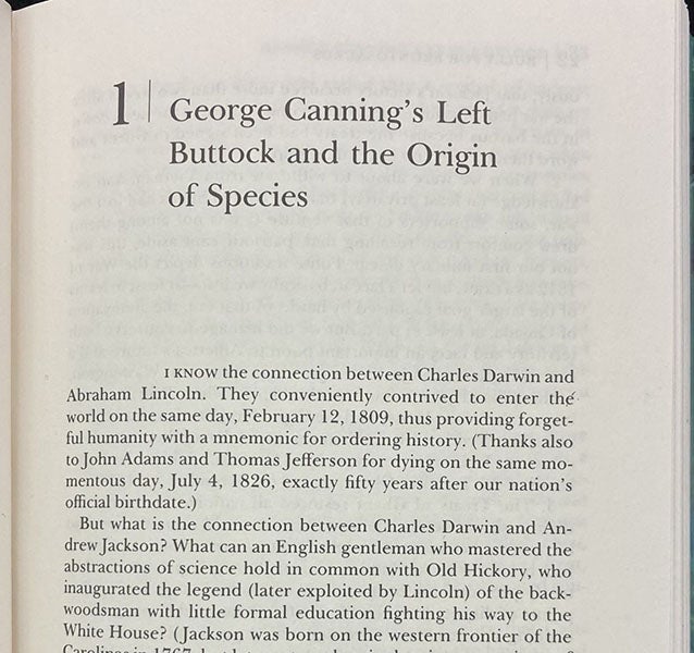 Opening of chapter, “George Canning’s left buttock and the Origin of Species,” by Stephen Jay Gould, in his Bully for Brontosaurus: Reflections in Natural History, 1990 (author’s copy)