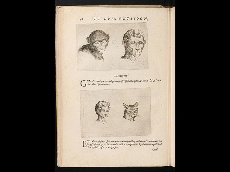 Giovanni Battista della Porta Linda Hall Library