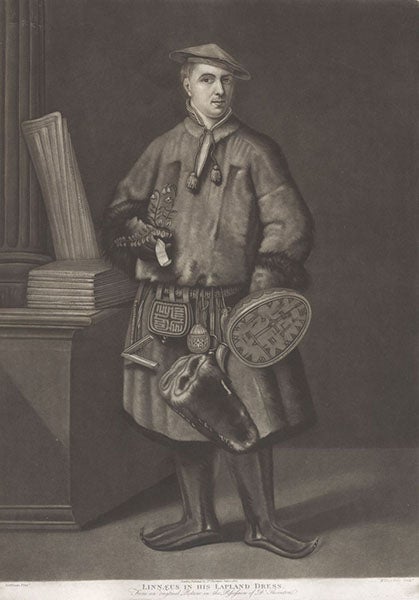 Portrait of Linnaeus in Lapland dress, mezzotint after painting by Hoffman, in New Illustration of the Sexual System of Carolus von Linnaeus, by John Thornton, 1807 (Linda Hall Library)