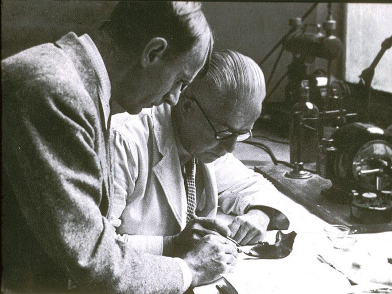 Kenneth P. Oakley (left) in the lab with the Piltdown I mandible at the British Museum (Natural History), 1953, Natural History Museum (nhm.ac.uk)