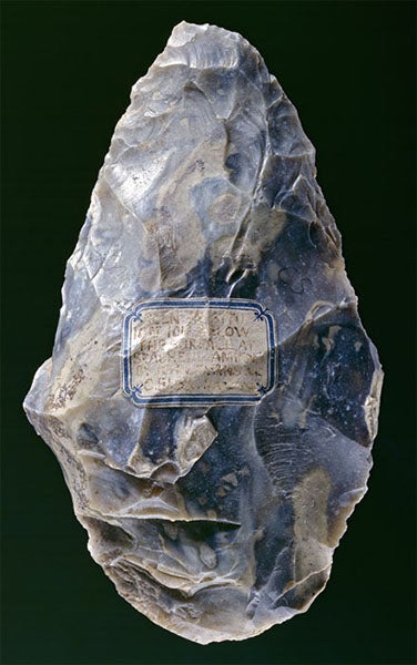 Flint hand-axe found by John Evans at St. Acheul, Amiens, France, 1859, now in the Ashmolean Museum, Oxford (britisharchaeology.ashmus.ox.ac.uk)