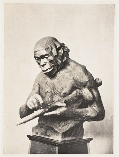 The Sussex man, Eoanthropus dawsoni. Image source: Rutot, Aimé. Un essai de reconstitution plastique des races humaines primitives. Brussels: Hayez, 1919, pl. 2.