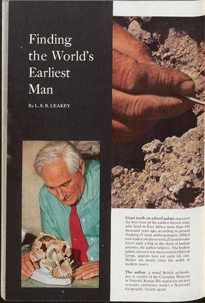 First page of Louis Leakey’s article on the discovery of Zinjanthropus, National Geographic, September 1960 issue (Linda Hall Library)