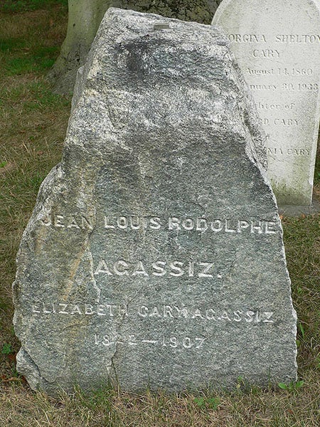 Headstone of Louis Agassiz at Mount Auburn Cemetery, made from a glacial stone from a moraine in the Alps of his native Switzerland (Wikimedia commons)
