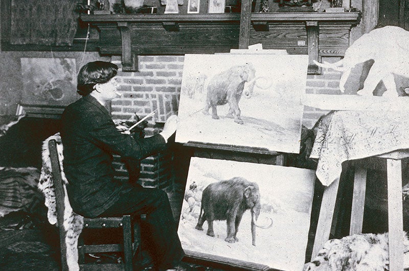 Charles R. Knight at work in his studio, undated photograph, source unknown