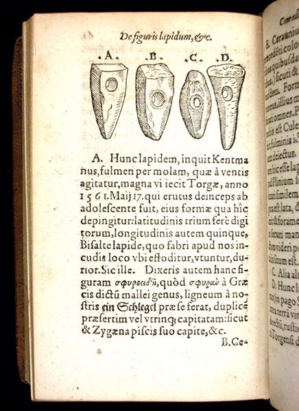 Cerauniae (stone tools), woodcut in De omni rerum fossilium, by Conrad Gessner, 1565 (Linda Hall Library)